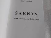 Šaknys - nuotraukos Nr. 2