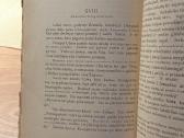 Pasakojimas Antano Tretiniko 1901 - nuotraukos Nr. 5