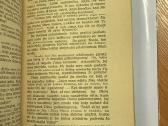 Žygis į amžinybę 1939 m. - nuotraukos Nr. 5