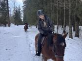 Baltijos šiltakraujis žirgas - nuotraukos Nr. 16