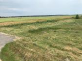 Parduodamas sklypas 18.5 a. Didieji Leliai