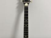 Orfeus Hebros hollowbody elektrine gitara. 60s - nuotraukos Nr. 6