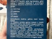 Pokalbių gidas - nuotraukos Nr. 3