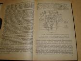 Traktorius Кировец К-700 - nuotraukos Nr. 6