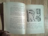 Beicu reklama isleista vok. okupacijos metais - nuotraukos Nr. 7