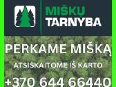 < Brangiai superkame Miškus >