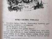 S. Pokrovskis "Mamutų medžiotojai" - nuotraukos Nr. 3