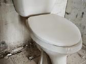 WC naudotas - nuotraukos Nr. 3