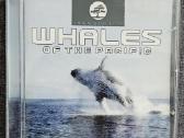 Tranquillity-whales of the Pacific CD music
