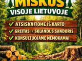 Perkame miško sklypus visoje Lietuvoje