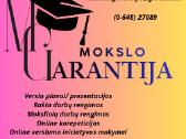 Profesionali Pagalba Studentams/ Verslo Planai