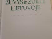 Žuvys ir žūklė Lietuvoje. 2009m. - nuotraukos Nr. 2