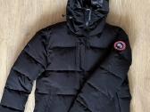 Canada goose striukė
