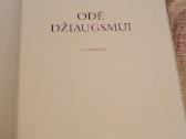 Odė Džiaugsmui - nuotraukos Nr. 3