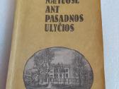 Namuose ant Pasadnos ulyčios