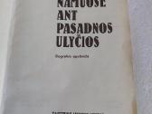Namuose ant Pasadnos ulyčios - nuotraukos Nr. 2