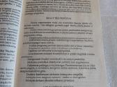 Skautai - nuotraukos Nr. 3