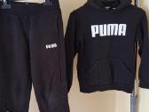 Puma treiningai