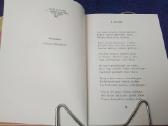 Dantė Skaistykla - nuotraukos Nr. 6
