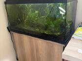 Pilnas akvariumo komplektas 110l su spin