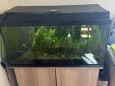 Pilnas akvariumo komplektas 110l su spin - nuotraukos Nr. 2
