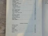 Kostas Kubilinskas Gintarėliai - nuotraukos Nr. 8