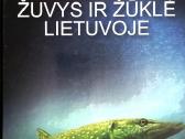 Žuvys Ir Žūklė Lietuvoje