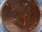 Moneta Canada 2014m. 5 dollars, sidabras(.999) - nuotraukos Nr. 2