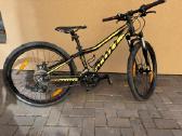 Scott Scale Jr 24 - nuotraukos Nr. 4