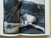 Taschen: The Polaroid Book (kolekcinis leidimas) - nuotraukos Nr. 9