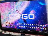 LG monitorius