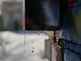 Panasonic Lumix S5 su dviem objektivais - nuotraukos Nr. 6
