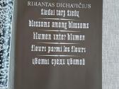 Albumas Žiedai tarp žiedų R.dichavičius - nuotraukos Nr. 4