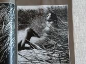 Albumas Žiedai tarp žiedų R.dichavičius - nuotraukos Nr. 5