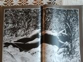 Albumas Žiedai tarp žiedų R.dichavičius - nuotraukos Nr. 9