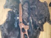 Anchus 22lr