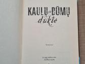 Kaulų ir dūmų duktė (Laini Taylor) - nuotraukos Nr. 3