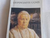 Liepsnojanti ugnis