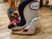 Automobilio kėdutė Britax Römer 9-18 kg - nuotraukos Nr. 4