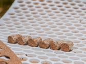 Sertifikuotos Shiitake grybų kapsulės Olandija - nuotraukos Nr. 5