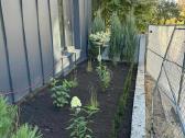 Aplinkos darbai - nuotraukos Nr. 4