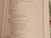 Žvejybos paslaptys - nuotraukos Nr. 11