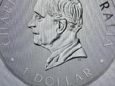 Sidabrine moneta 1 oz 2026 - nuotraukos Nr. 2