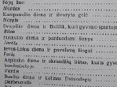 Fėjos ir jų šuo - nuotraukos Nr. 3