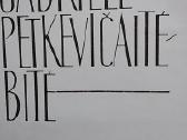 Gabrielė Petkevičaitė Bitė /IT - nuotraukos Nr. 2