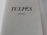 Tulpės - nuotraukos Nr. 2
