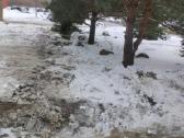 Mini ekskavatoriaus ir mini krautuvo Bobcat nuoma - nuotraukos Nr. 7