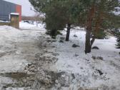 Mini ekskavatoriaus ir mini krautuvo Bobcat nuoma - nuotraukos Nr. 10