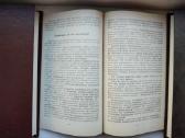 Mūsų organizmo rezervai, Auksinis ūsas, Homeopatij - nuotraukos Nr. 5