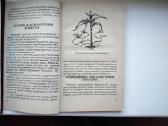 Mūsų organizmo rezervai, Auksinis ūsas, Homeopatij - nuotraukos Nr. 9
